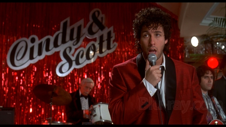 Gallery For gt; Steve Buscemi Wedding Singer Toast Gallery For gt; Steve Buscemi Wedding Singer Toast